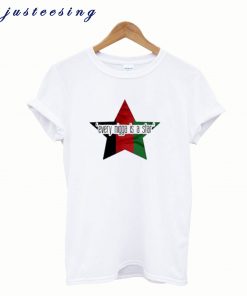 Every Nigga Is a Star T Shirt