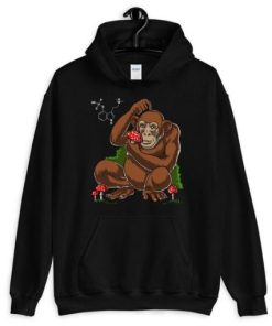 Stoned Ape Theory Hoodie NF