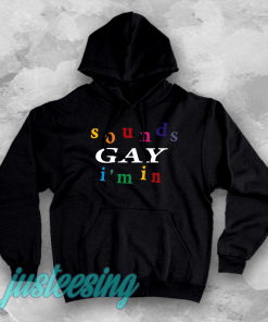 SOUND gay i'm in hoodie