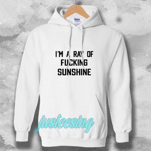 im a ray of fucking sunshine Hoodie